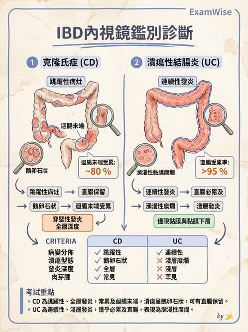 內專 - 發炎性腸道疾病 - AI 圖文解析預覽