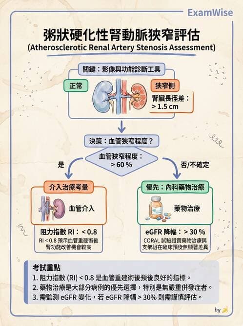 內專 - 多囊腎與腎結石 - AI 圖文解析預覽