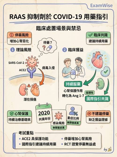 內專 - 腎間質疾病與其他 - AI 圖文解析預覽