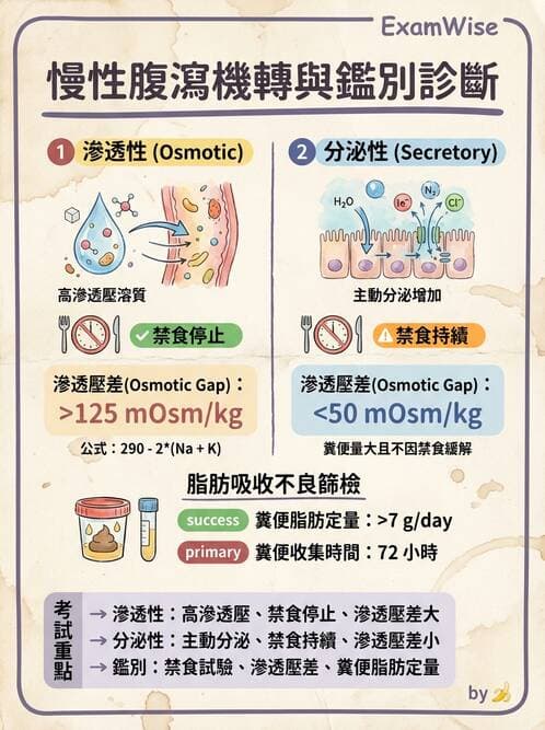 內專 - 胃炎、術後併發症與其他上消化道疾病 - AI 圖文解析預覽