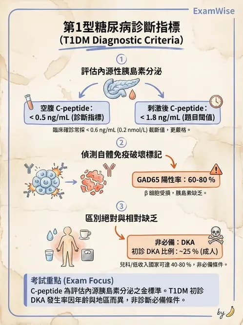 內專 - 糖尿病診斷、特殊族群與代謝性疾病 - AI 圖文解析預覽