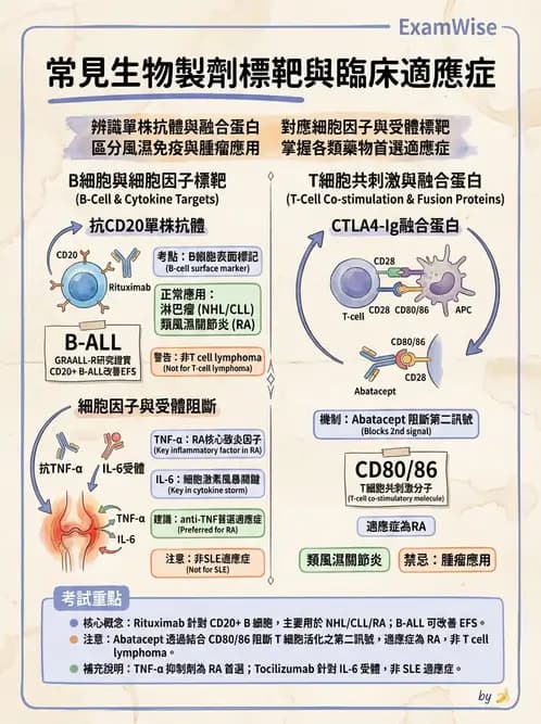 內專 - 淋巴瘤與多發性骨髓瘤 - AI 圖文解析預覽