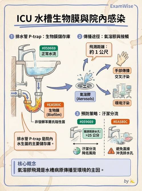 內專 - 感染預防:疫苗與院感管制 - AI 圖文解析預覽