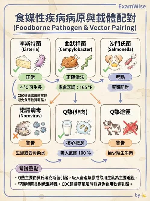 內專 - 抗藥性菌與感染管控 - AI 圖文解析預覽