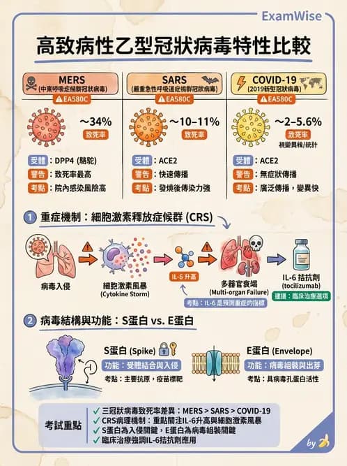 內專 - 病毒感染:COVID-19、流感與新興傳染病 - AI 圖文解析預覽