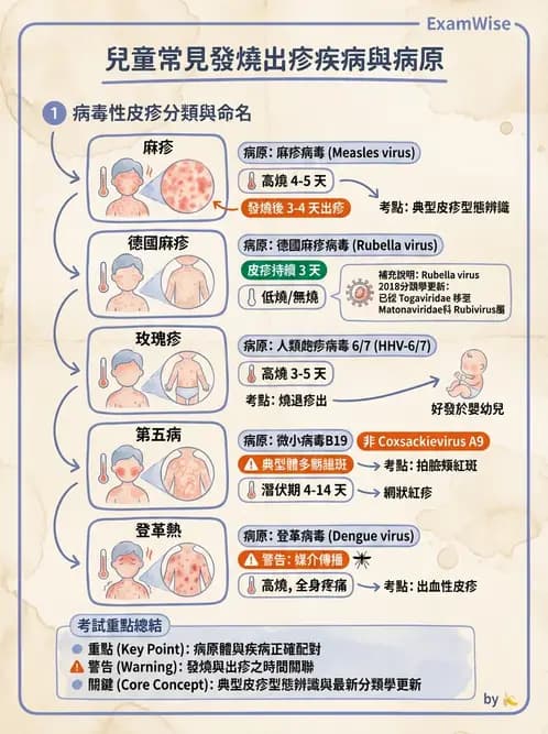 內專 - 蟲媒感染、性傳播感染與寄生蟲 - AI 圖文解析預覽
