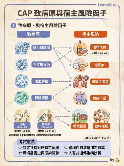 內專 - 呼吸道與中樞神經感染 - AI 圖文解析預覽