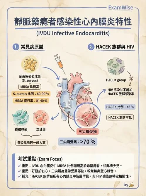 內專 - 特殊病原體、黴菌與人畜共通感染 - AI 圖文解析預覽