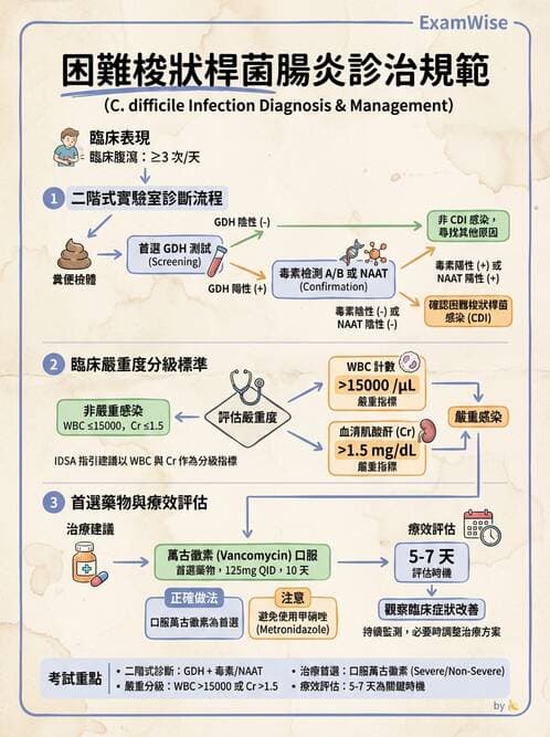 內專 - 厭氧菌、梭狀桿菌與特殊細菌 - AI 圖文解析預覽