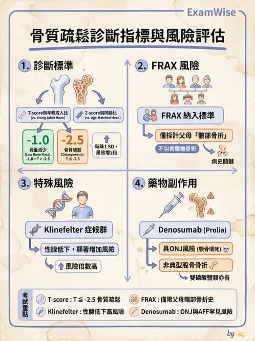 內專 - 副甲狀腺與鈣代謝異常 - AI 圖文解析預覽