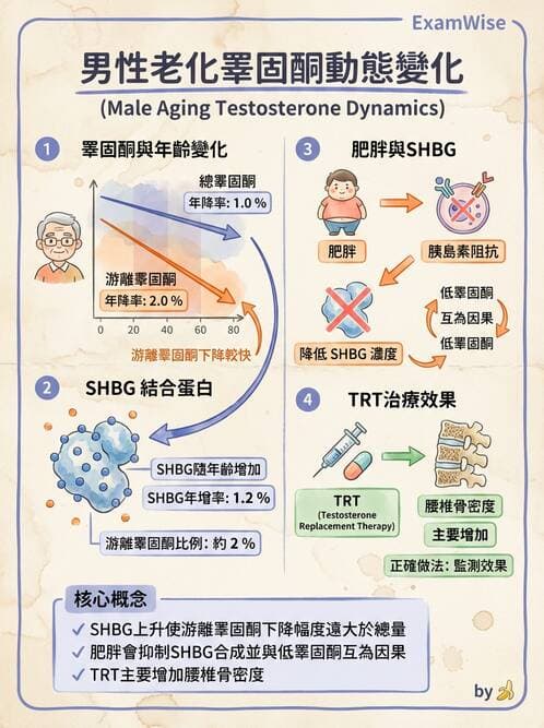 內專 - 腦垂體疾病 - AI 圖文解析預覽