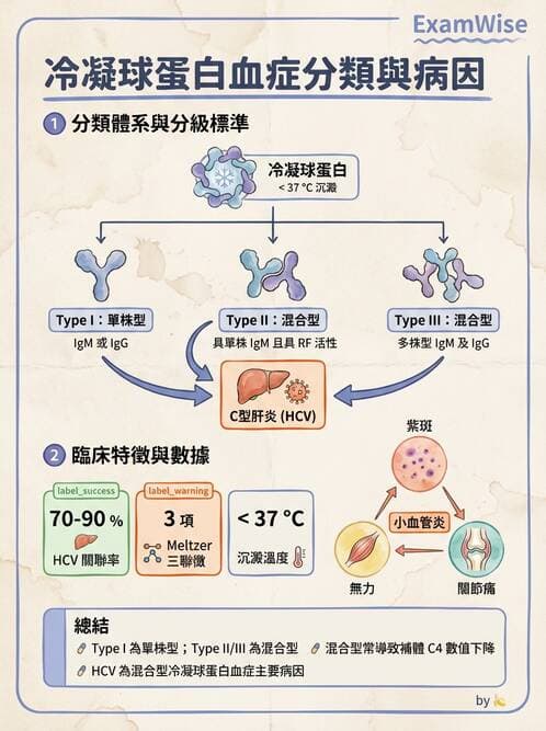 內專 - 血管炎 - AI 圖文解析預覽