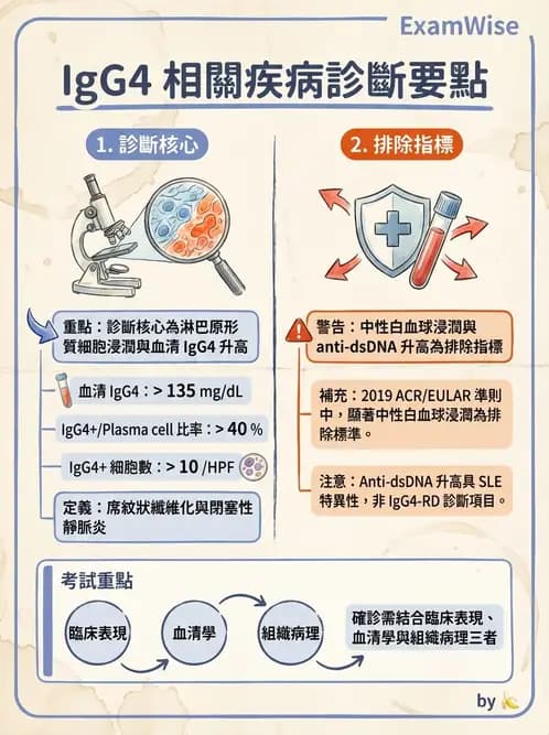 內專 - 乾燥症與IgG4相關疾病 - AI 圖文解析預覽
