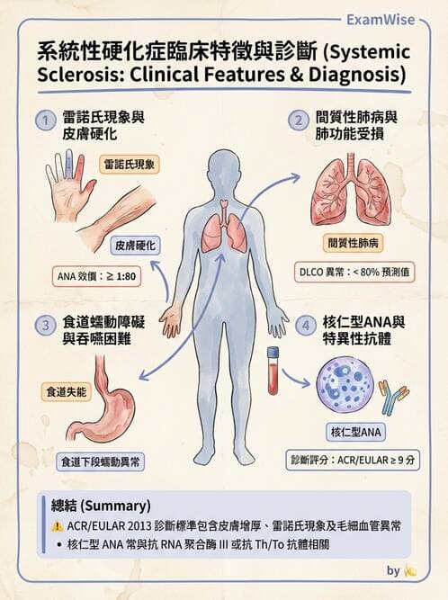 內專 - 系統性硬化症 - AI 圖文解析預覽