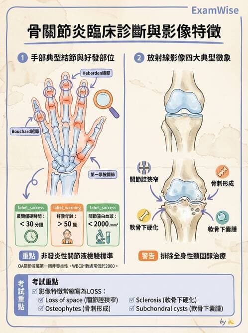 內專 - 痛風、結晶性與退化性關節炎 - AI 圖文解析預覽