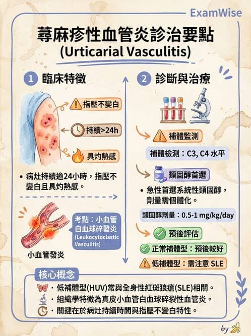內專 - 血管炎 - AI 圖文解析預覽