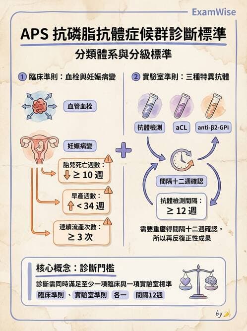 SLE - 全身性紅斑狼瘡 - AI 圖文解析預覽