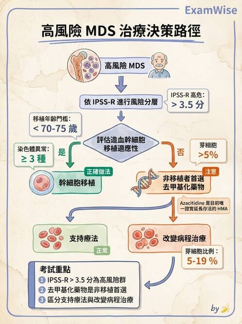 內專 - 白血病與骨髓增生不良 - AI 圖文解析預覽