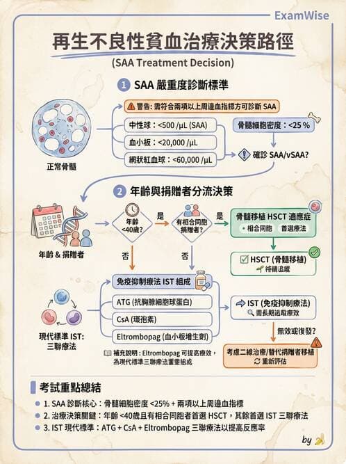 內專 - 各型貧血 - AI 圖文解析預覽