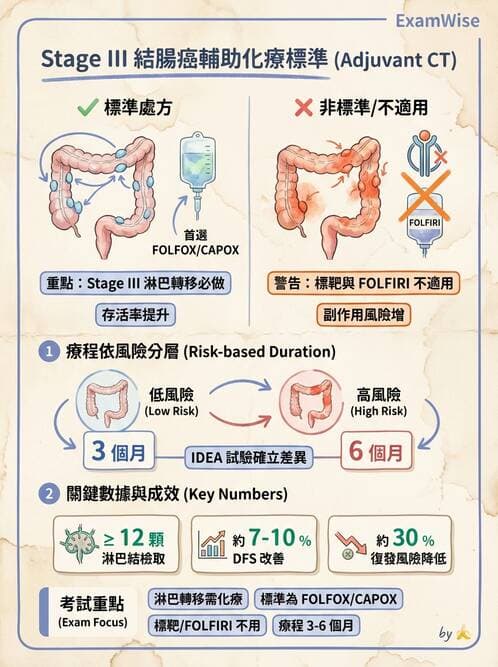 內專 - 消化系統腫瘤 - AI 圖文解析預覽