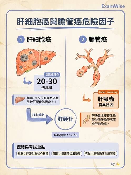 內專 - 消化系統腫瘤 - AI 圖文解析預覽