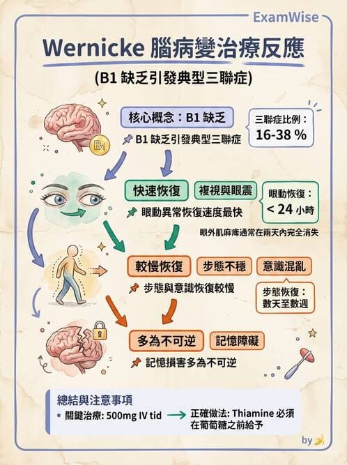 內專 - 腦炎、腦病變與癲癇 - AI 圖文解析預覽