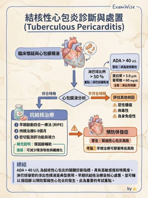 內專 - 心內膜炎與心包膜疾病 - AI 圖文解析預覽