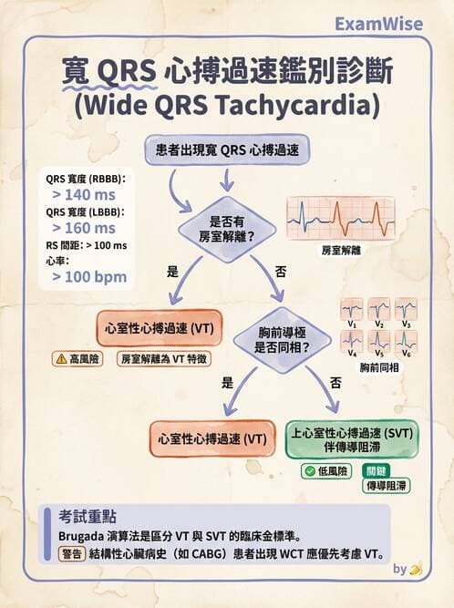 內專 - 心室心律不整與心因性猝死 - AI 圖文解析預覽