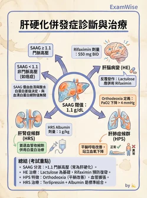 內專 - 肝硬化、肝癌及併發症 - AI 圖文解析預覽