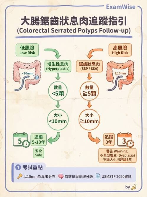 內專 - 大腸直腸癌與息肉 - AI 圖文解析預覽