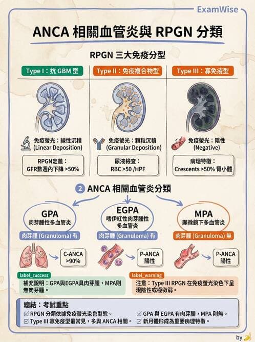 內專 - 繼發性腎絲球腎炎 - AI 圖文解析預覽