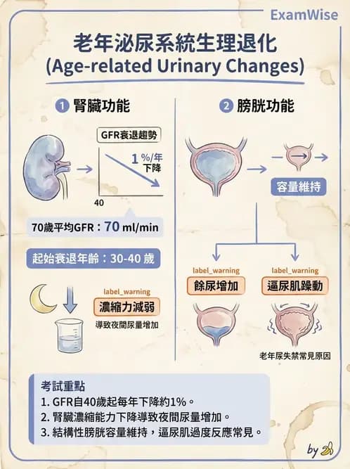 內專 - 腎間質疾病與其他 - AI 圖文解析預覽