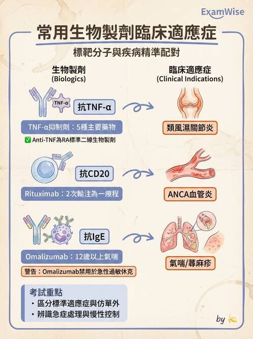 內專 - 過敏性疾病與臨床免疫治療 - AI 圖文解析預覽