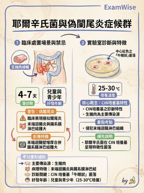 內專 - 革蘭氏陰性菌感染 - AI 圖文解析預覽