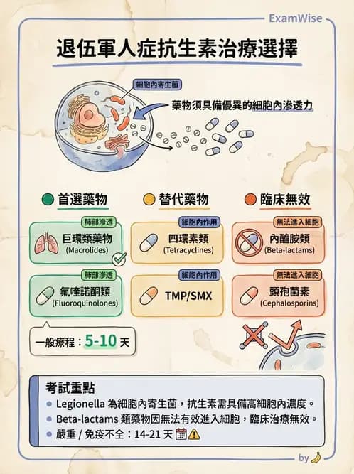內專 - 抗生素機轉與藥理 - AI 圖文解析預覽