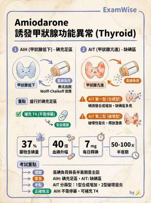 內專 - 甲狀腺疾病 - AI 圖文解析預覽