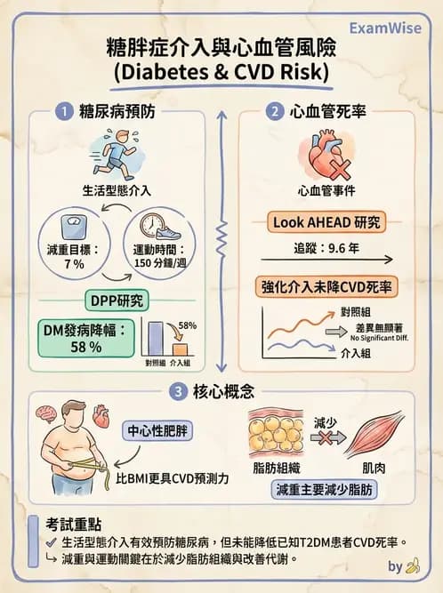 內專 - 糖尿病診斷、特殊族群與代謝性疾病 - AI 圖文解析預覽