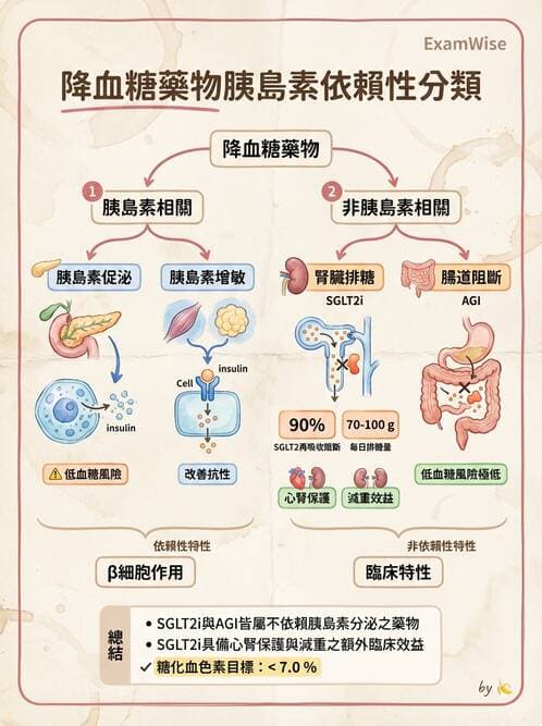 內專 - 口服降血糖藥物機轉與比較 - AI 圖文解析預覽