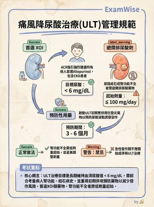 內專 - 痛風、結晶性與退化性關節炎 - AI 圖文解析預覽