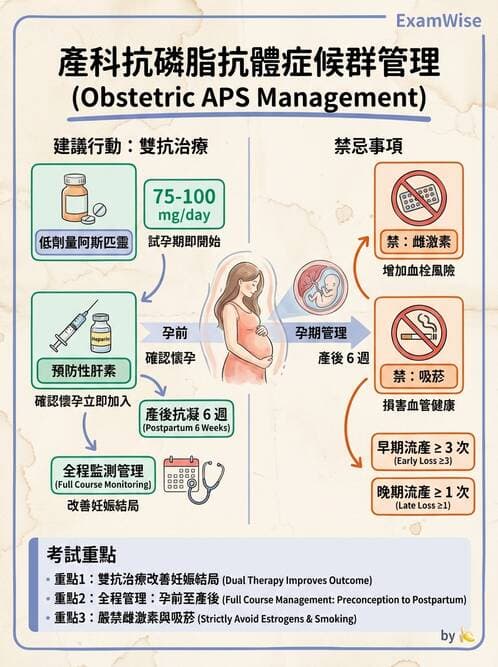 SLE - 全身性紅斑狼瘡 - AI 圖文解析預覽