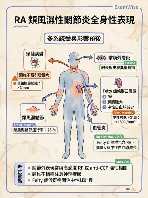 RA - 類風濕性關節炎 - AI 圖文解析預覽