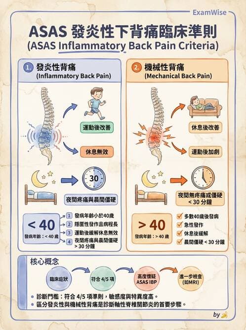 內專 - 脊椎關節病變 - AI 圖文解析預覽