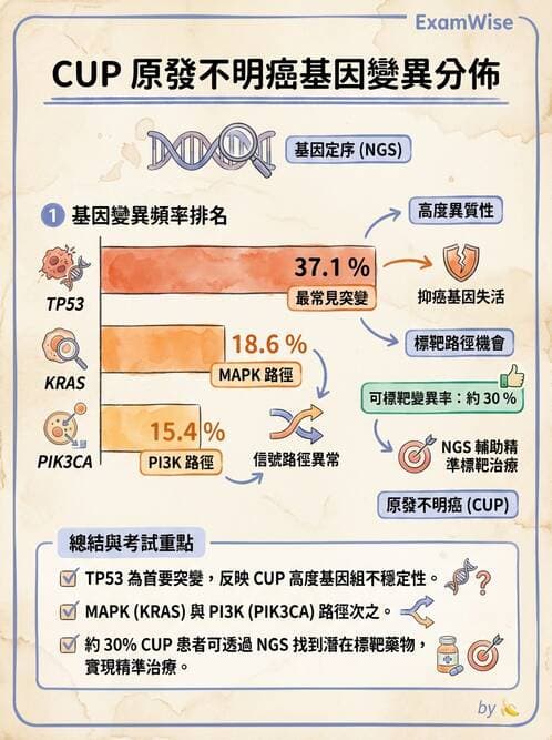 內專 - 腫瘤總論與篩檢 - AI 圖文解析預覽