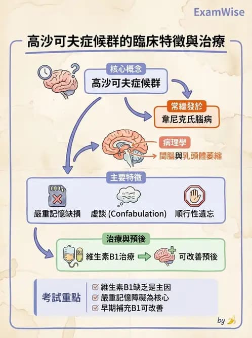 內專 - 腦炎、腦病變與癲癇 - AI 圖文解析預覽