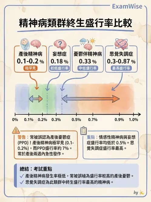 內專 - 焦慮症與其他精神疾患 - AI 圖文解析預覽
