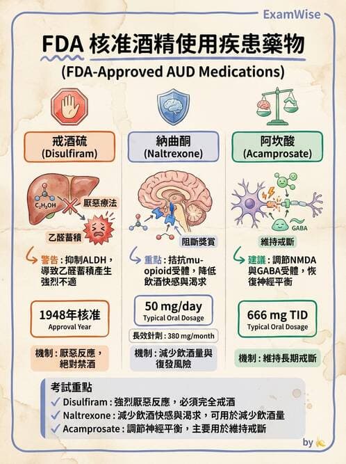內專 - 精神藥物與成癮 - AI 圖文解析預覽