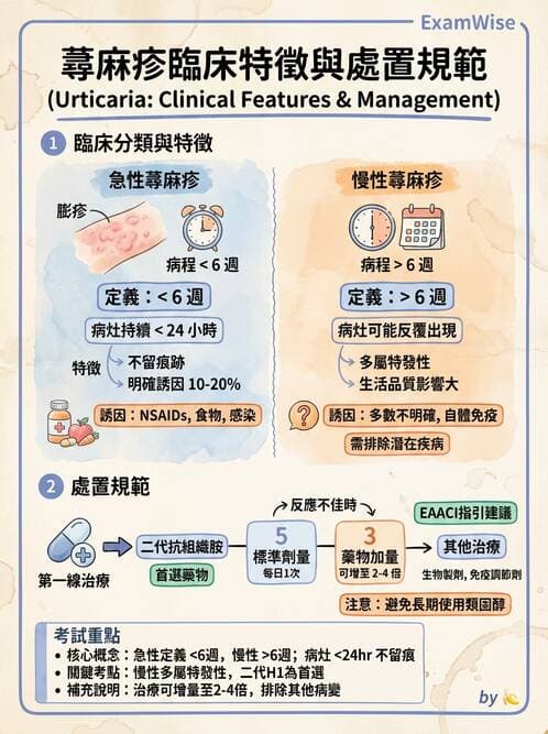 內專 - 免疫皮膚病與藥物反應 - AI 圖文解析預覽