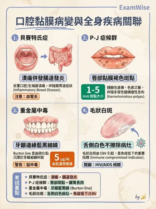 內專 - 血管炎 - AI 圖文解析預覽