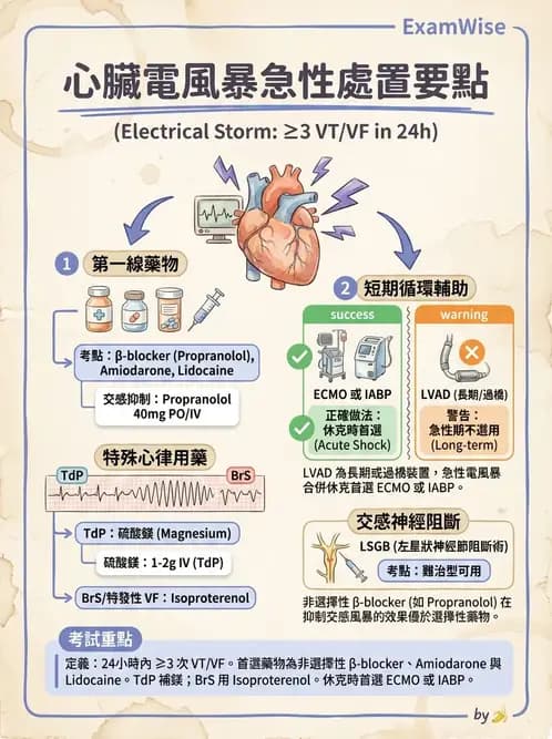 內專 - 心室心律不整與心因性猝死 - AI 圖文解析預覽