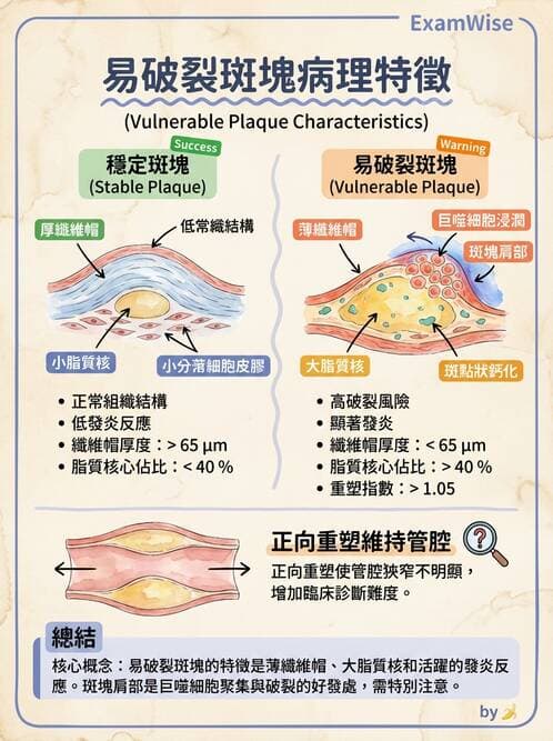 內專 - 急性冠心症 - AI 圖文解析預覽